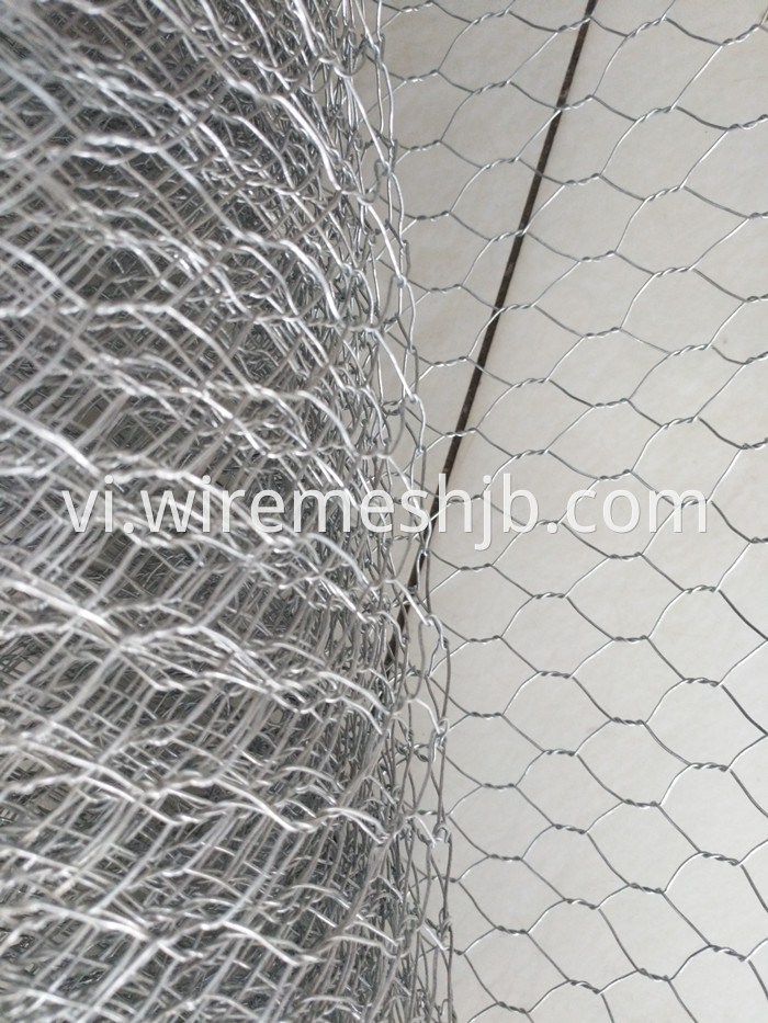 Hexagonal Mesh Fence